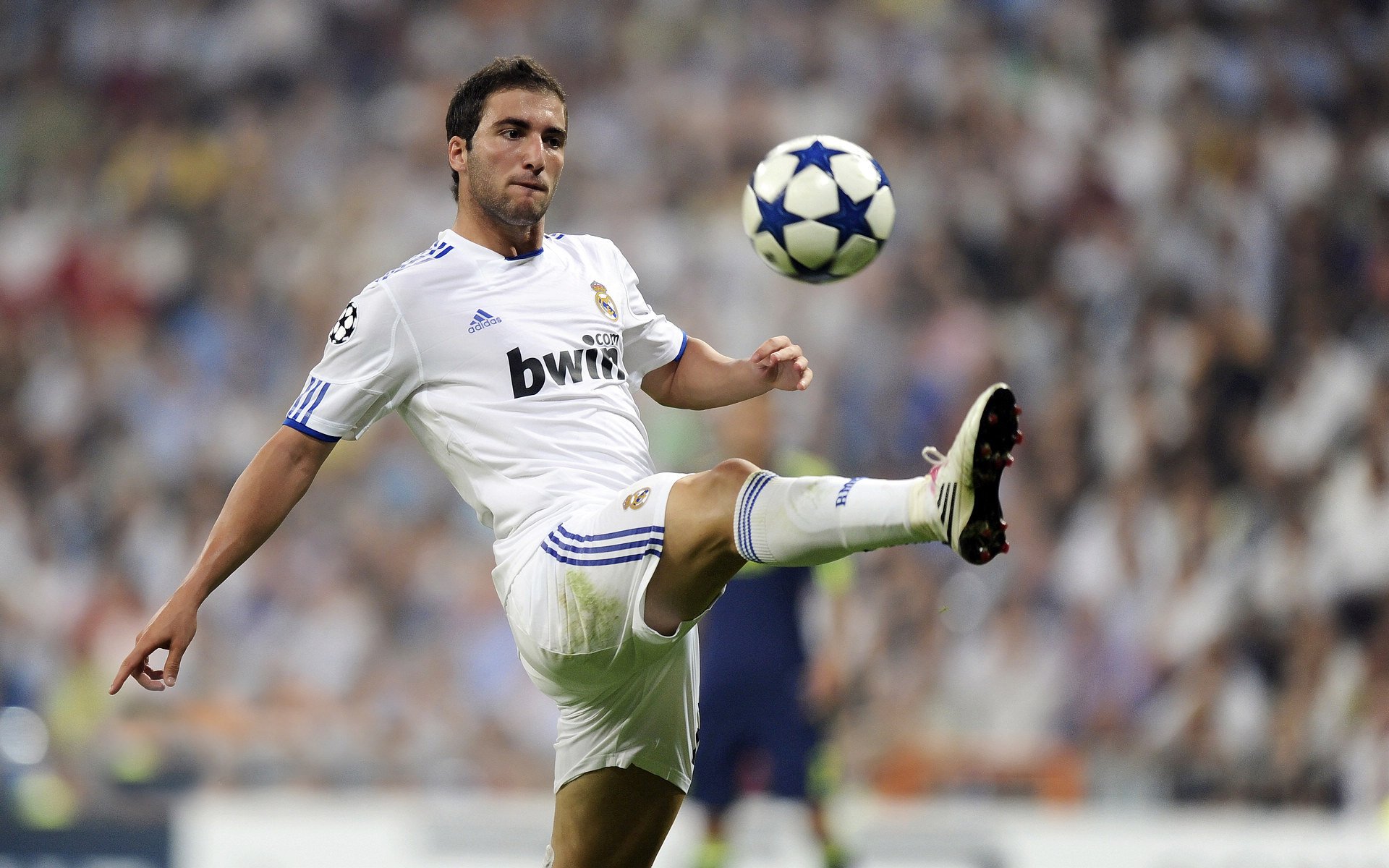 冠军争夺战:积分榜领头羊遭遇连败,争冠形势突变,冠军争霸赛是什么意思