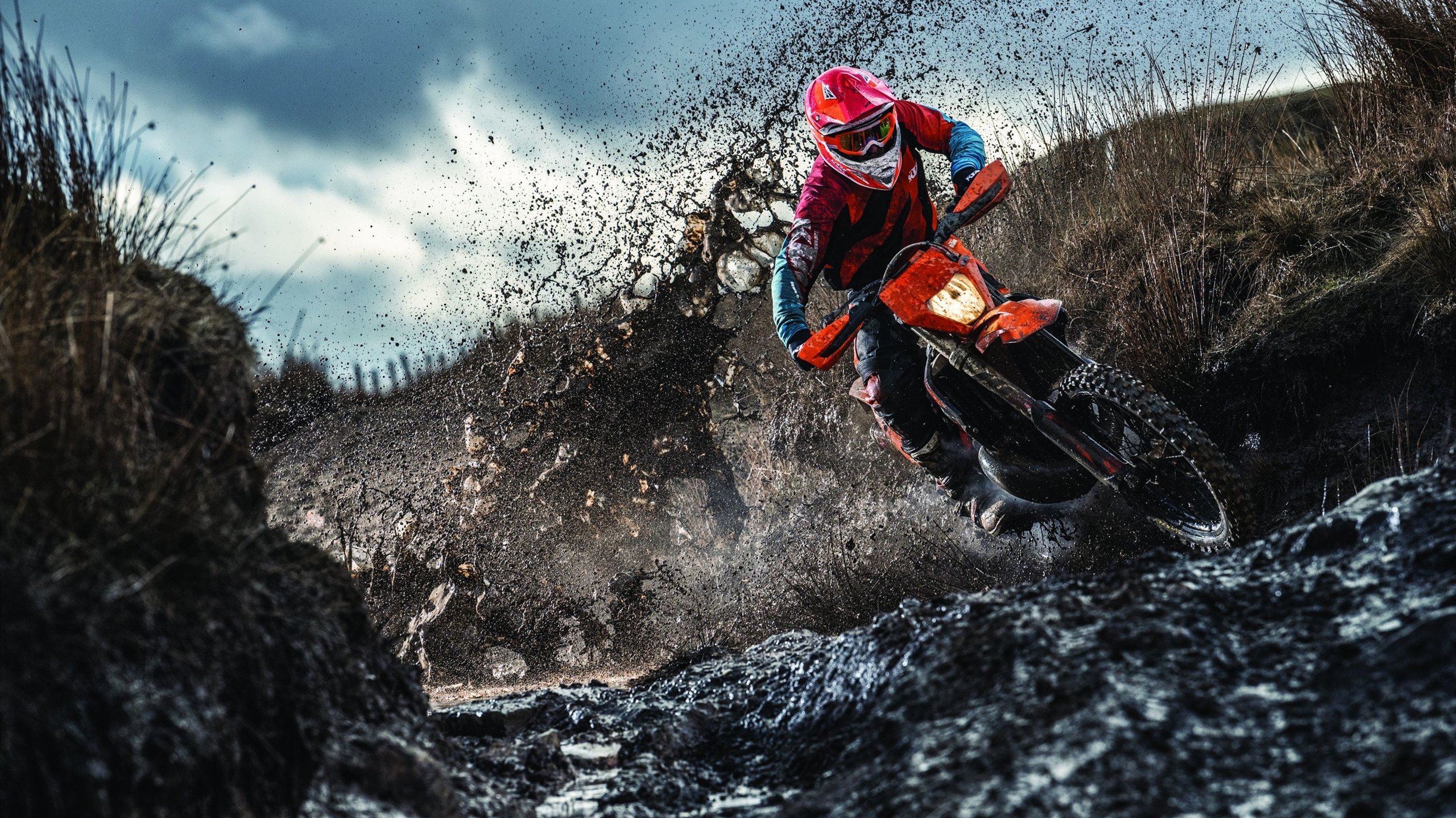 丝路电商日推动全球数字经济融合发展